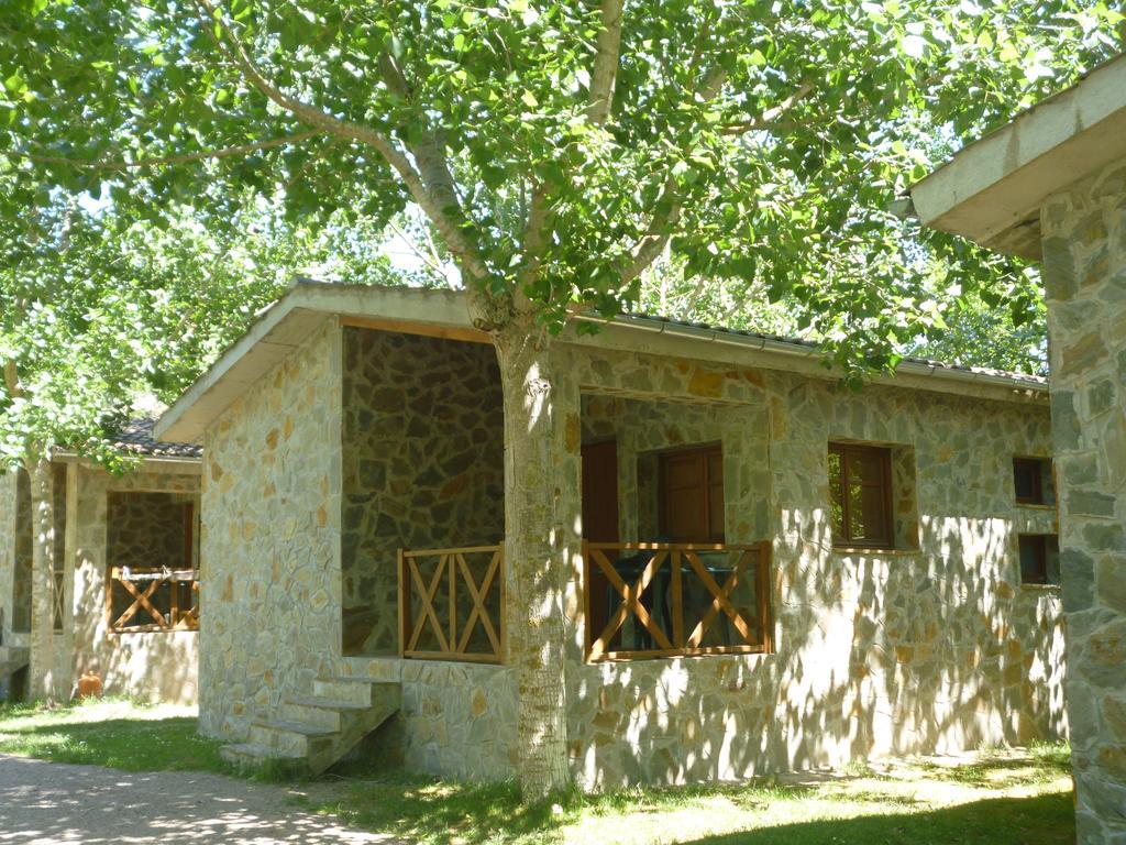 Campsite Pirinenc 2*